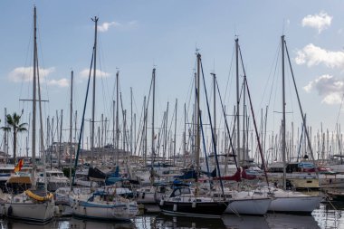 Palma, Mallorca, İspanya limanı, tekne ve yatlarla dolu.