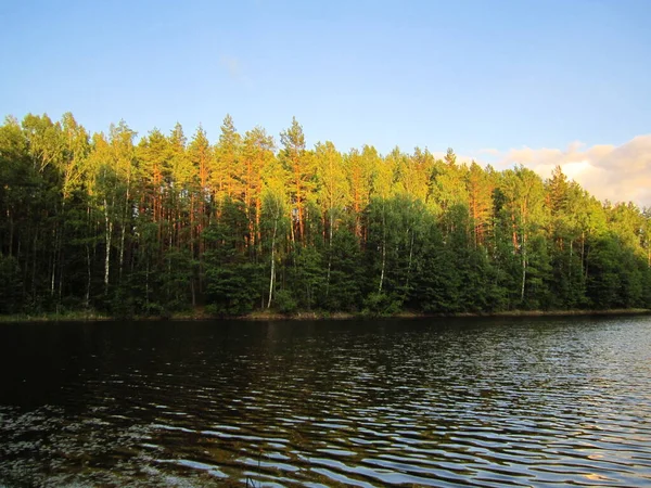 Озеро Осінь Природа Центральної Росії — стокове фото