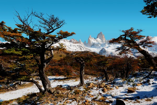 Argentine Fitz Roy — Photo