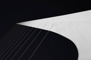 Argentina Puente de la Mujer