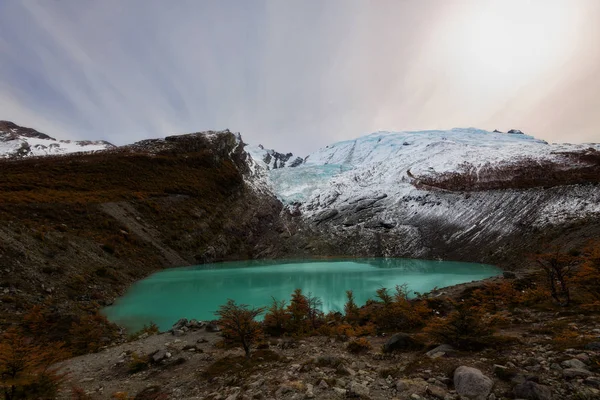 Argentinischer Gletscher huemul — Stockfoto