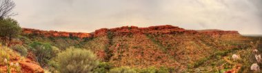 Avustralya outback