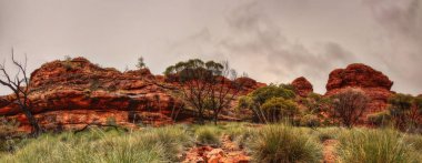Avustralya outback