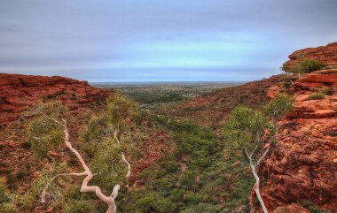 Avustralya outback