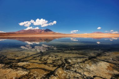 Bolivya Atacama Çölü