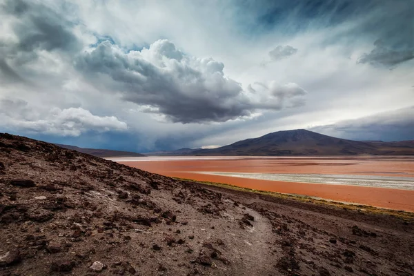 Боливия пустыни атакама — стоковое фото