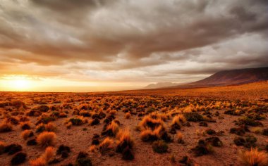 Şili Atacama Çölü