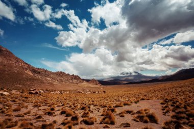 Şili Atacama Çölü