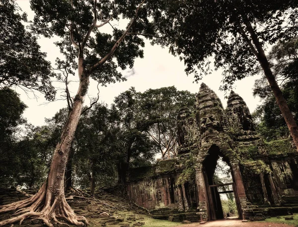 Tempel in ankor wat — Stockfoto