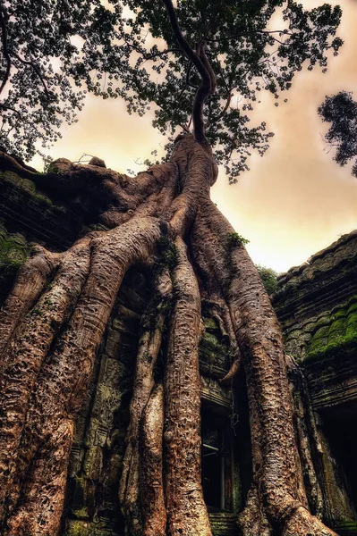 Храм у Анкор Wat — стокове фото