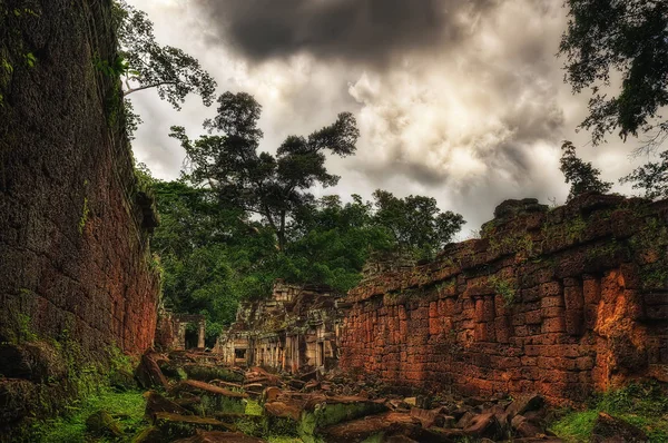 Tempel in ankor wat — Stockfoto