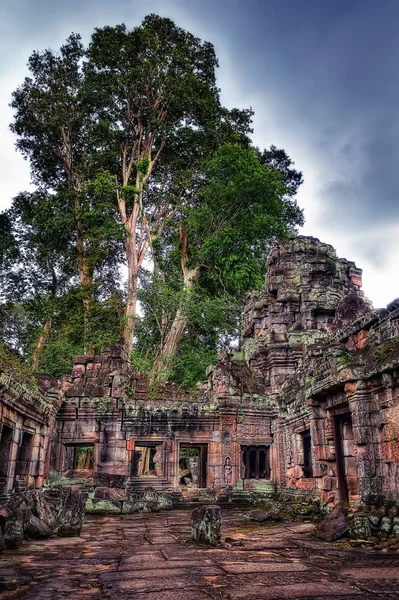Templo en Ankor Wat —  Fotos de Stock