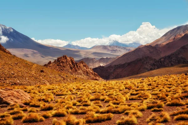 Chili Désert d'Atacama — Photo