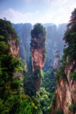 Zhangjiajie national forest park Çin