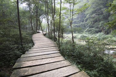 Zhangjiajie national forest park Çin