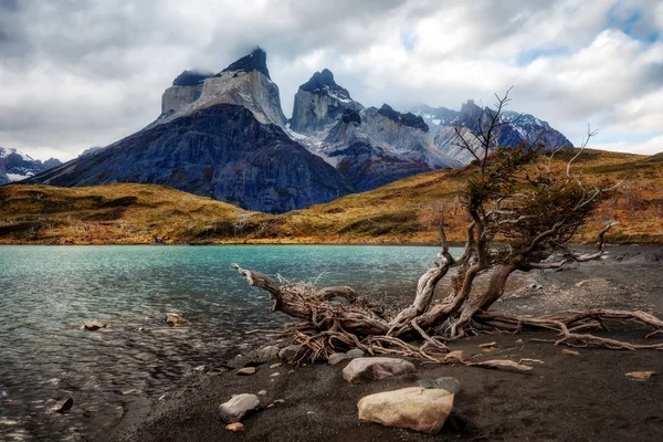Torres del Paine Chile — 스톡 사진