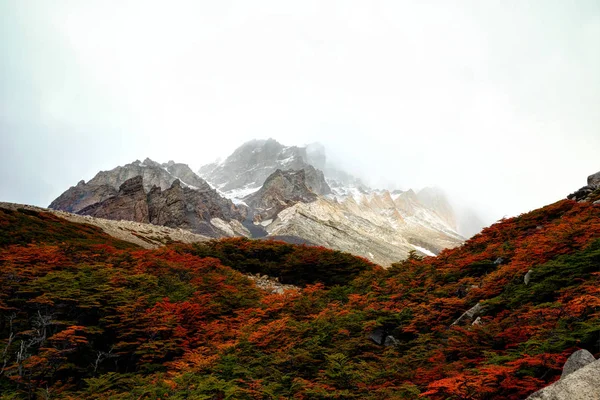 Torres del Paine Chili — Photo