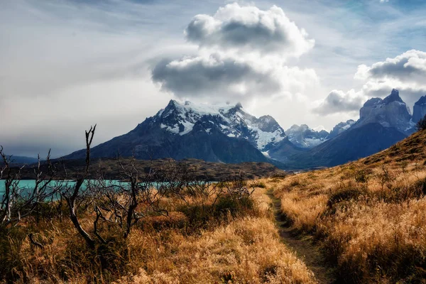 Torres del Paine Chili — Photo