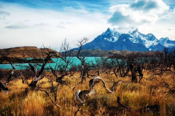 Torres del Paine Chile — Stock Fotó