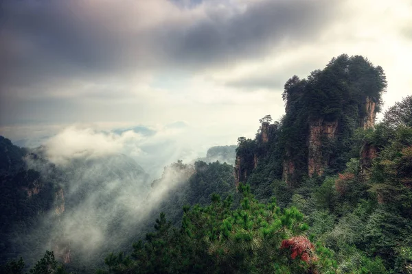 Parque Florestal Nacional Zhangjiajie China — Fotografia de Stock