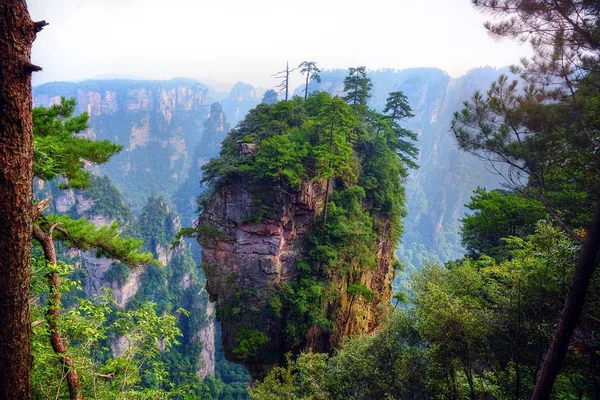 Zhangjiajie national forest park Kina — Stockfoto
