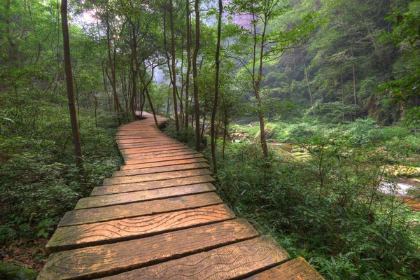 Zhangjiajie Parco forestale nazionale Cina — Foto Stock