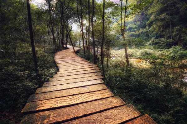 Zhangjiajie Parco forestale nazionale Cina — Foto Stock