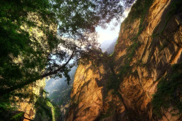 Tigre salto Gorge Lijiang Cina — Foto Stock