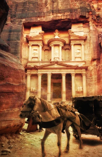 Лошадь в Петре Иордании — стоковое фото