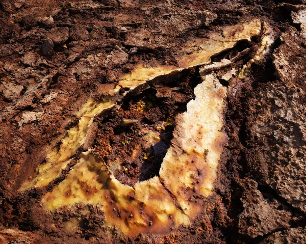 Dallol, Danakil Depression, Ethiopia. The hottest place on earth — Stock Photo, Image