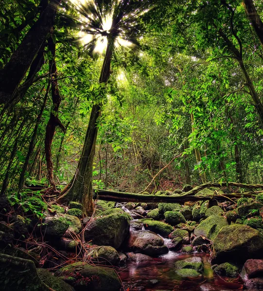 Raiatea, Polinezja Francuska — Zdjęcie stockowe