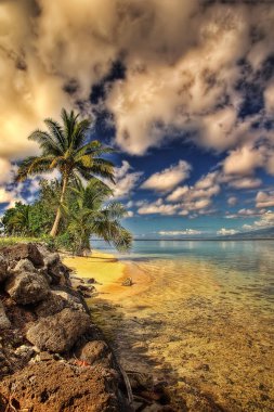 Tahiti, Fransız Polinezyası