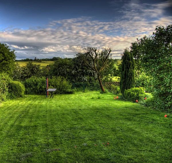 Jardín de verano — Foto de Stock