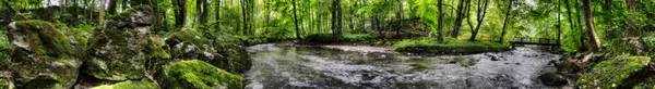 Pequeno rio através da floresta — Fotografia de Stock