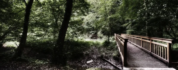 Ponte pedonale in legno attraverso il fiume — Foto Stock