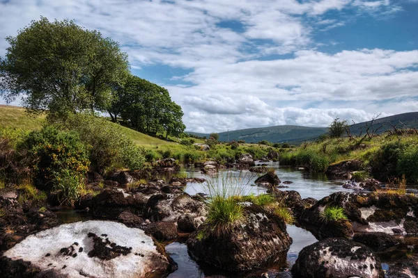 Wicklow Mountains National Park — Stock fotografie