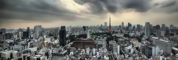 Tokio Skyline, Japan — стокове фото