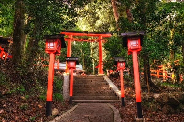 Shee Monkey Park, Kyoto, Japan — Stockfoto