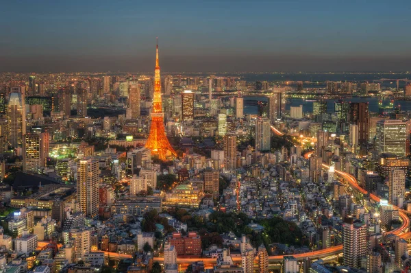 Skyline van Tokyo, Japan — Stockfoto