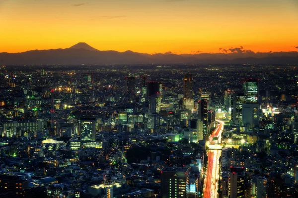 Skyline van Tokyo, Japan — Stockfoto