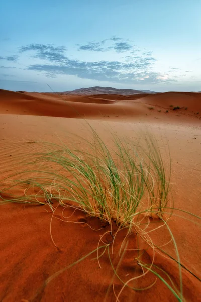 Сахара пустыня Марокко — стоковое фото