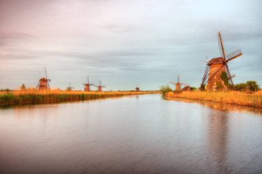 Hollanda doğal yel değirmenleri