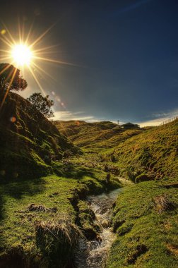 Makara Beach Yeni Zelanda