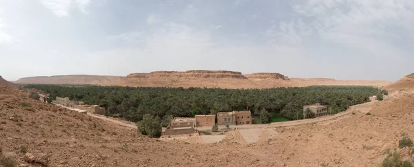 Merzouga Morocco Oasis — стокове фото