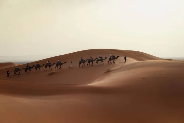 Sahara Deserto Marocco — Foto Stock