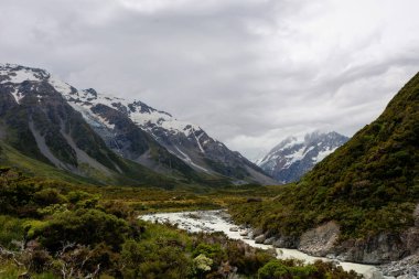 Fahişe Vadisi zammı Yeni Zelanda