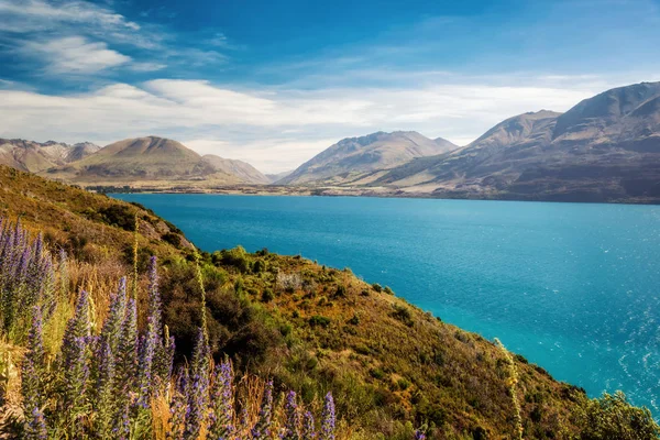 Lake wakatipu queenstown Új-Zéland — Stock Fotó