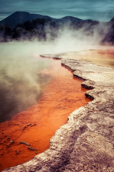 New Zealand Hot Springs Rotorua — Stock Photo, Image