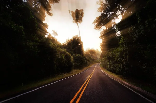 Road to Milford Sound New Zealand — Stock Photo, Image