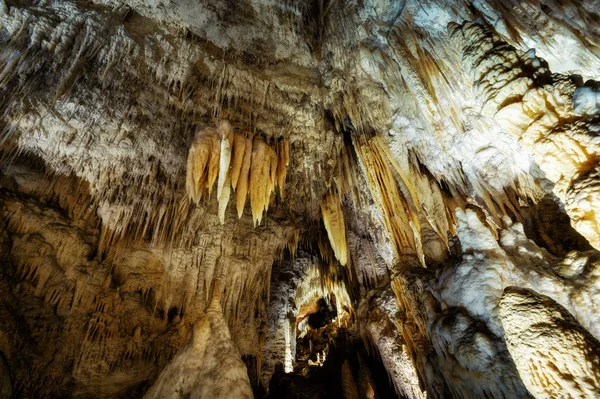 Waitomo Caves Nieuw-Zeeland — Stockfoto